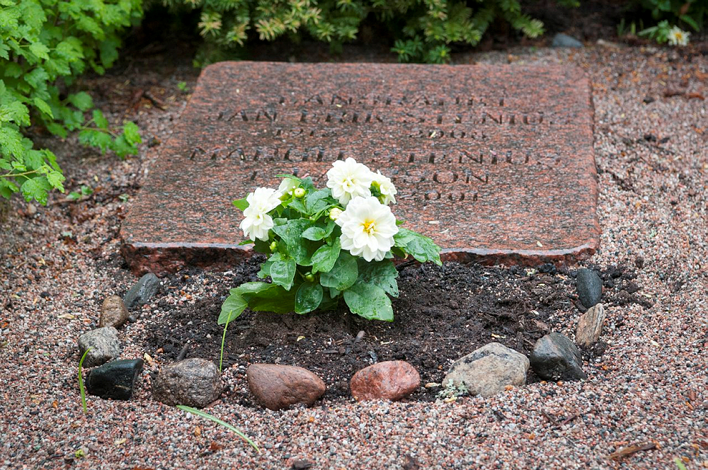 Liggande gravhäll med en vit blomma planterad framför.